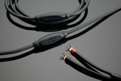 Transparent The MusicWave Speaker Cable G6