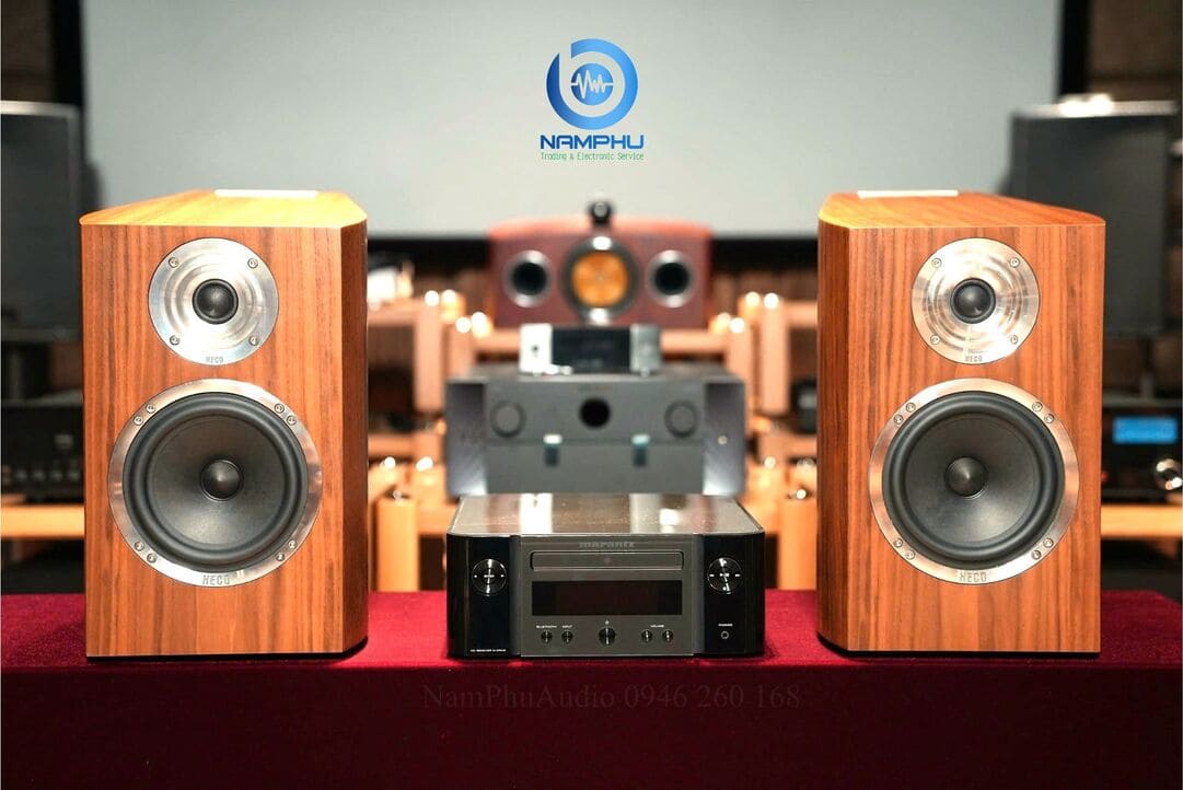 Amply karaoke là gì?